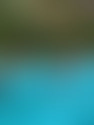 El Sícoris Club dona el tret de sortida a la Festa d’Estiu amb una jornada plena d’activitat