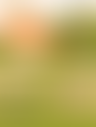 Inscripcions obertes per a les Estades d’Estiu 2025 del Sícoris Club!