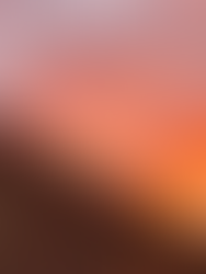 El Sícoris lamenta la pèrdua de l'amic i soci José Torrado