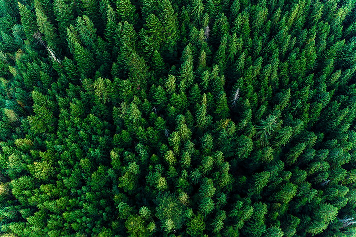 iStock-1174236917.jpg