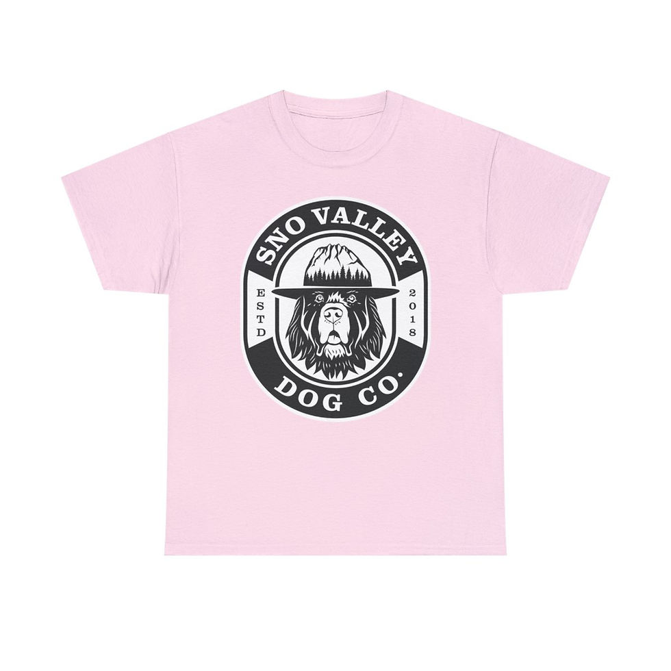 Thumbnail: BIG B Unisex Heavy Cotton Tee