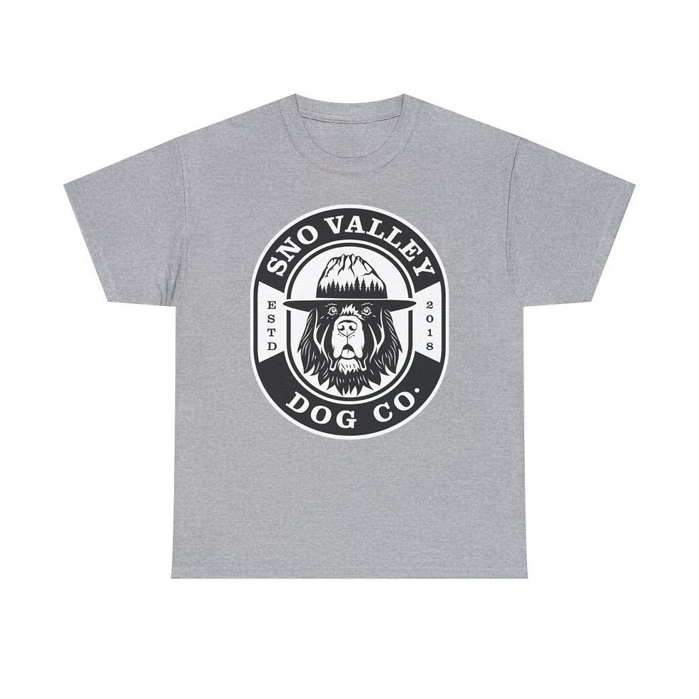 Thumbnail: BIG B Unisex Heavy Cotton Tee