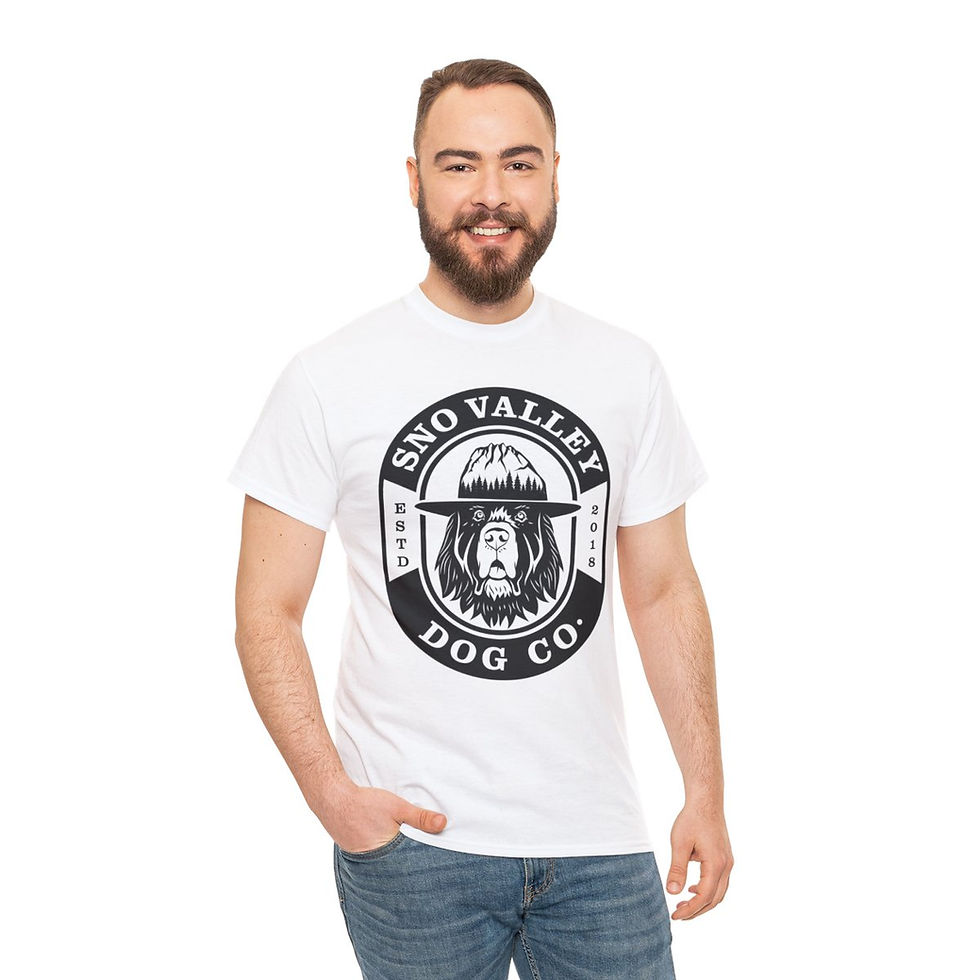 Thumbnail: BIG B Unisex Heavy Cotton Tee