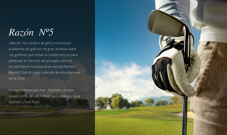 PRESENTACION - PRINCESS RESORT VILLAGE-10 copia.png