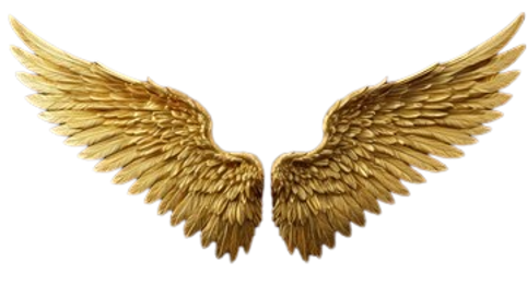 240_F_1309431574_erQumO0yx9Tpc29anxTPQqZuZiFK04Gg-removebg-preview.png