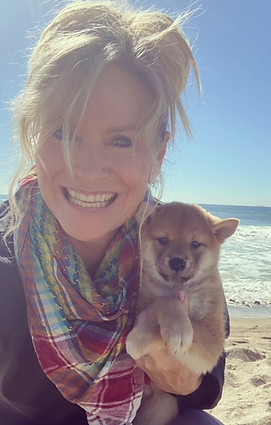 alt="red Shiba Inu puppy on the beach">