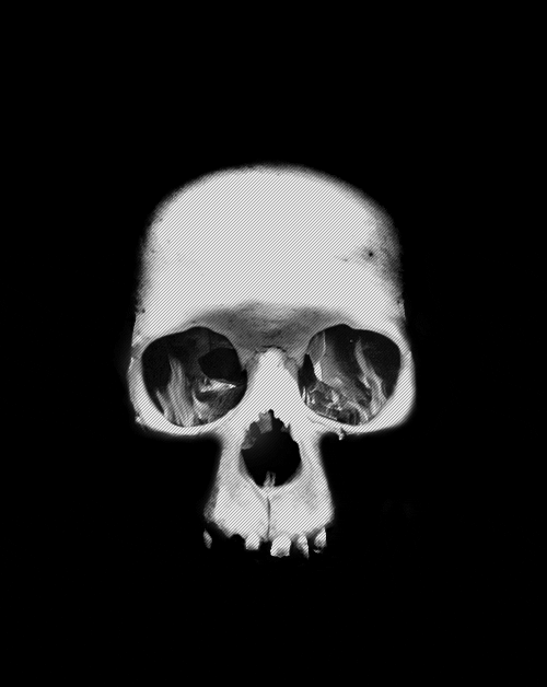 269258643skull-animation-gif.gif