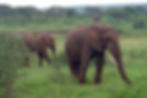 DSC03670_edited-1.jpg