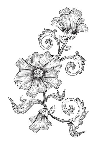 Vintage floral illustration