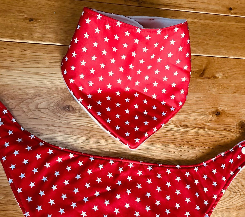 Thumbnail: Red with stars. Dribble bib. Dignity bib. Bandana st