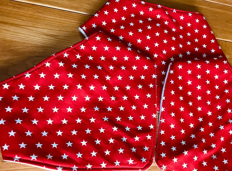 Thumbnail: Red with stars. Dribble bib. Dignity bib. Bandana st