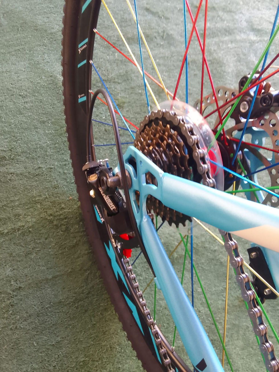 Thumbnail: New Yanna Y-22 24 speed Mountain Bike Blue