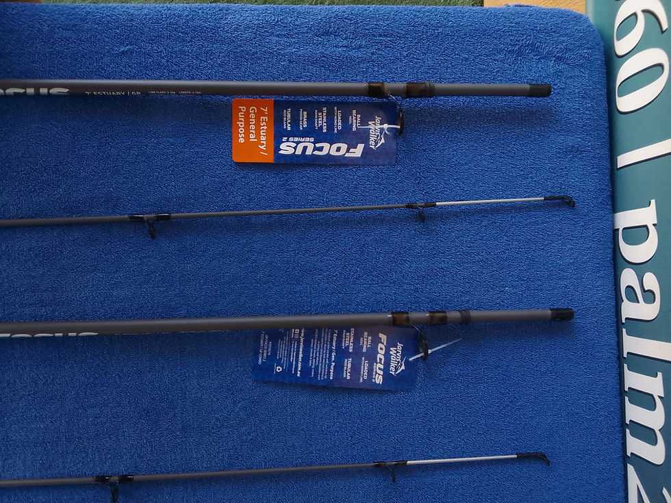 Thumbnail: New 2pce 7ft Jarvis Walker Focus Estuary Rod with Focus 4000 series 2 spinning r