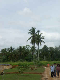 IMGP0376