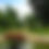 Thumbnail: Kandy City Tour 01