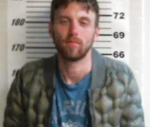 Local man arrested for possession after attempting to flee scene