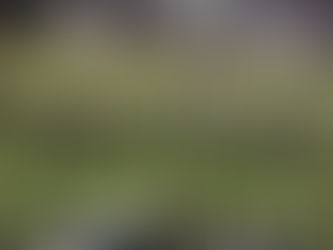 Pictures from PMHS Marching Band halftime show at Long Beach