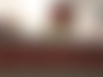 City Council hears requests; will wait for final information for next steps