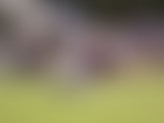 Picayune stays unbeaten with 49-38 win over Hattiesburg