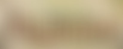 Council has meeting, but Jerusalem project will not be submitted for BP money grant program