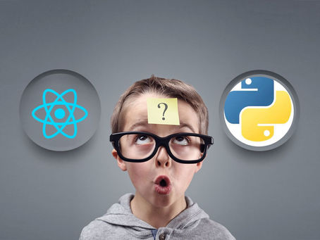 Choosing Between ReactJS and Python for Your Future Career