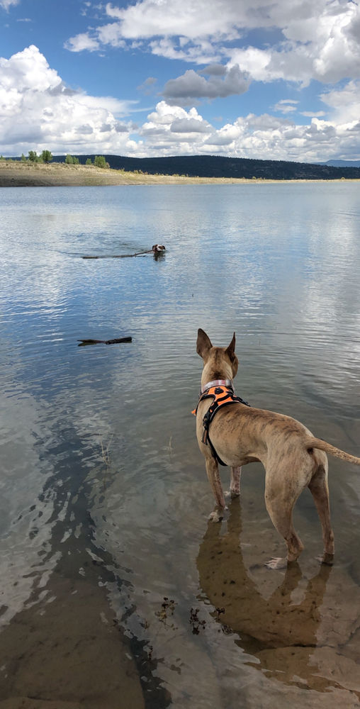Weekend Camping at Heron Lake State Park