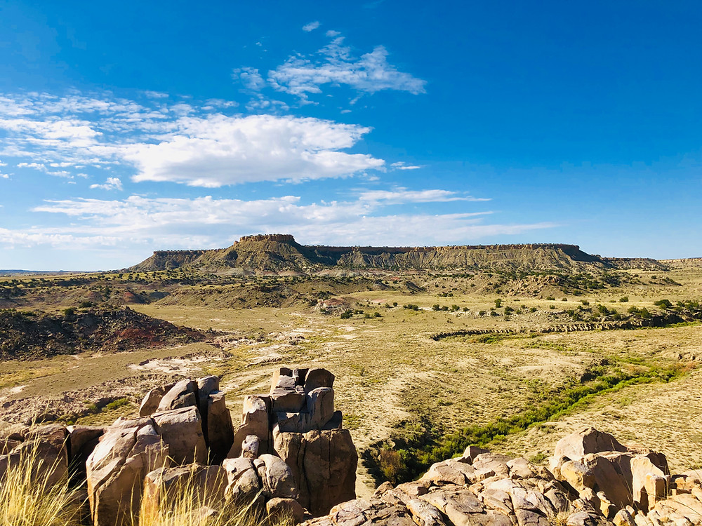 Ojito Wilderness view from Seismosaurus dig site