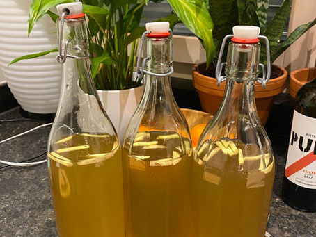 Kombucha 
