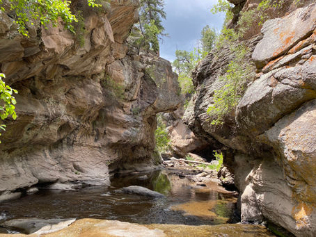 Shaded Trails for Summer in the High Desert - Hikes Around Albuquerque