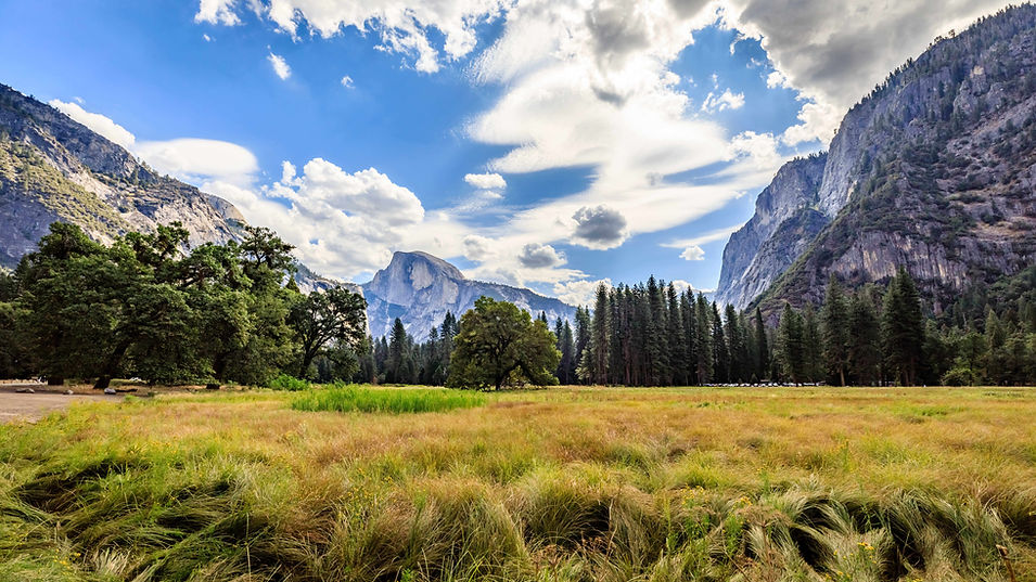 Yosemite Clean Energy.jpeg