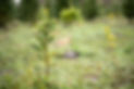 AdobeStock_311037510.jpeg