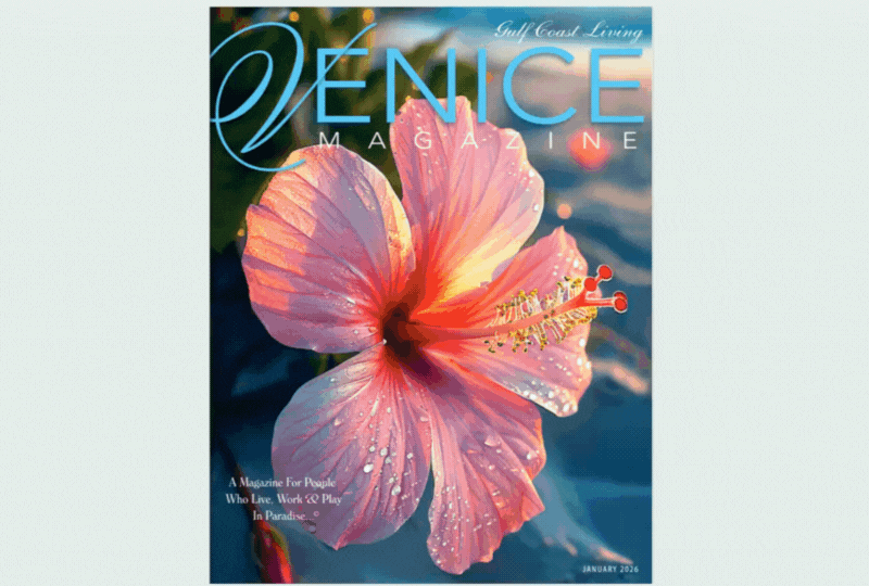 VGCLM Flipping Magazine (800 x 540 px) Dec 2025 (6).gif