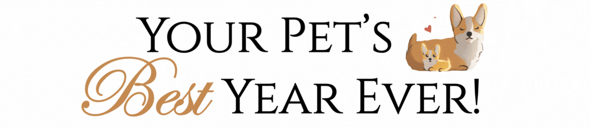 VGCLM Newsletter Text Titles (26).gif