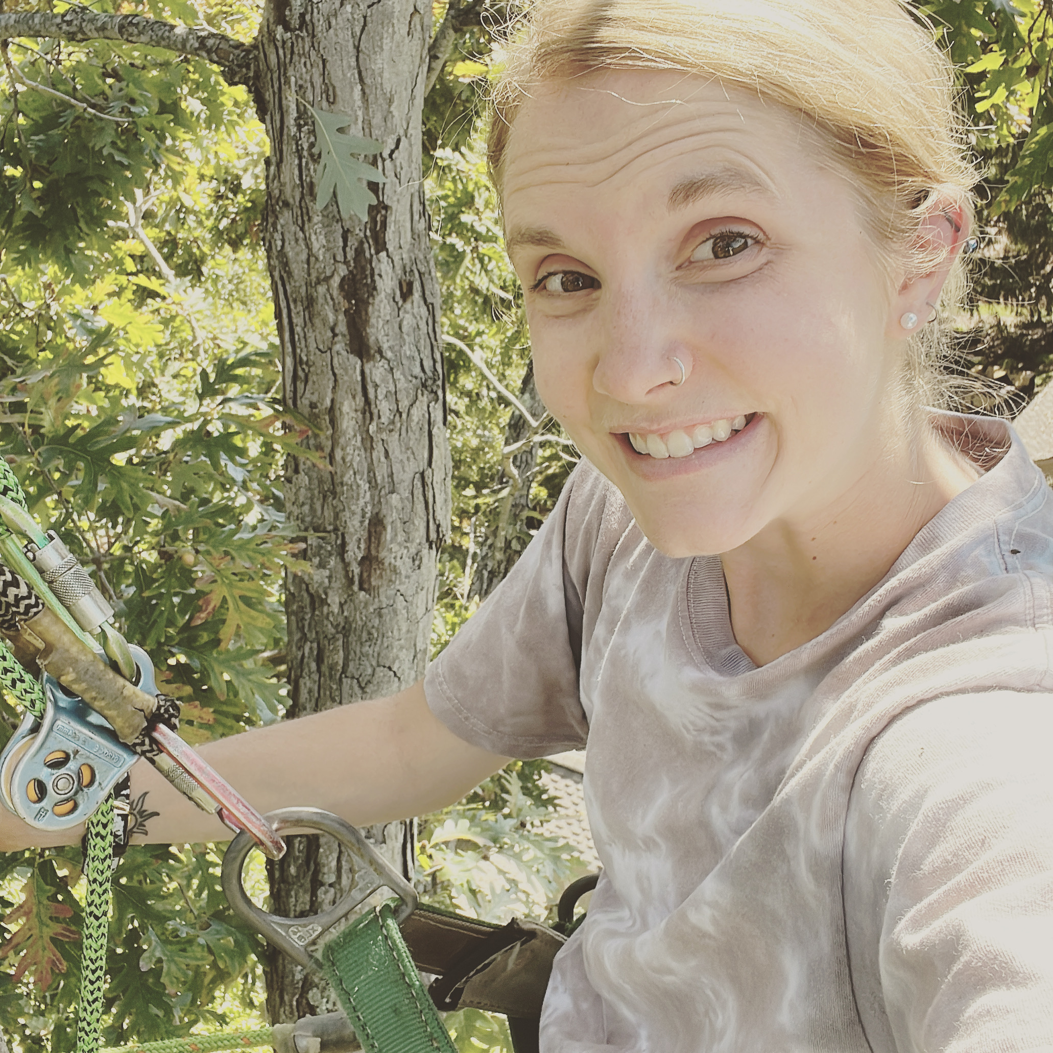 Writer: Complete Tree Service