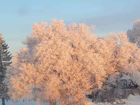 Luces y Sombras en Guadalajara