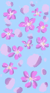 トラジとルーシー|creators