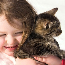 Healthy Kitten Hug from child