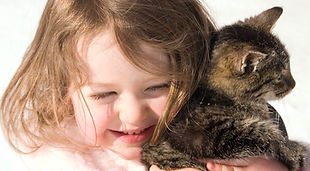 Kitty Hug