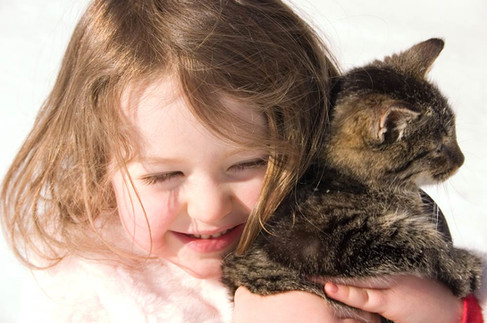 Kitty Hug