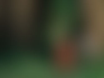 Óleo de una mujer con sombrero - Margo