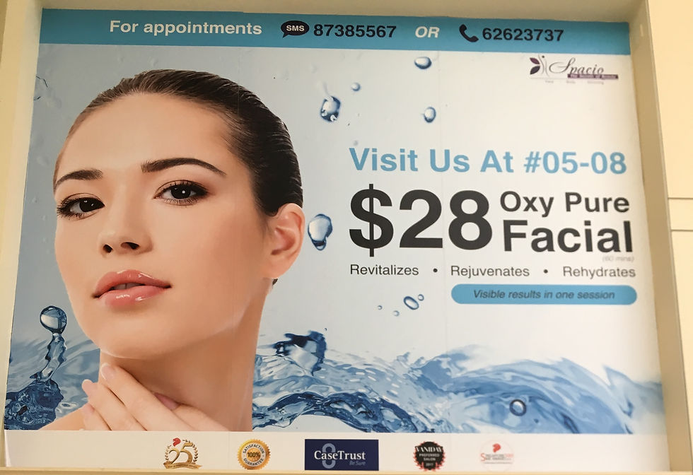 pp ad panel on site