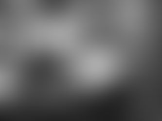 A Journey Through Dental History