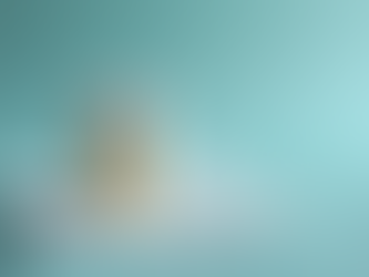 What to Do During a Dental Emergency A Comprehensive Step-by-Step Guide