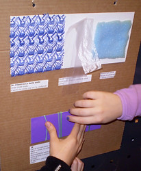 PB051191_edited.jpg