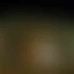 Top of Main Street - Aqua Al 2 Holiday Lights