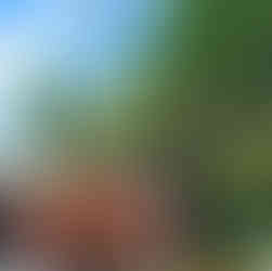 Key West - West Martello Fort