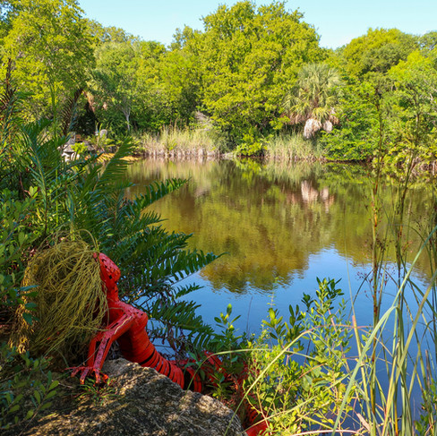Key West Botanical Gardens Pond