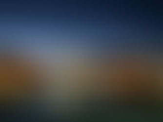Annapolis Historic District Christmastime