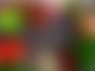 Best Open Air Markets in Key West Florida