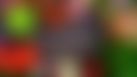 Best Open Air Markets in Key West Florida